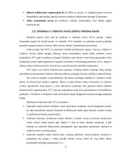 Smulkaus ir vidutinio verslo analizė Lietuvoje 8 puslapis