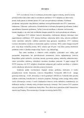 Smulkaus ir vidutinio verslo samprata, valstybės parama smulkiam ir vidutiniam verslui 19 puslapis