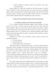 Smulkaus ir vidutinio verslo samprata, valstybės parama smulkiam ir vidutiniam verslui 6 puslapis