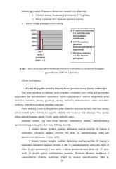 Smulkaus ir vidutinio verslo samprata, valstybės parama smulkiam ir vidutiniam verslui 10 puslapis