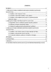 Smulkaus verslo vaidmuo šiuolaikinėje ekonomikoje 2 puslapis