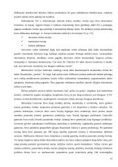 Smulkaus verslo vaidmuo šiuolaikinėje ekonomikoje 12 puslapis