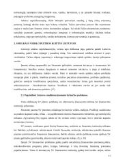 Smulkaus verslo vaidmuo šiuolaikinėje ekonomikoje 13 puslapis