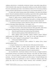 Smulkaus verslo vaidmuo šiuolaikinėje ekonomikoje 14 puslapis