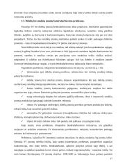 Smulkaus verslo vaidmuo šiuolaikinėje ekonomikoje 17 puslapis