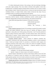 Smulkaus verslo vaidmuo šiuolaikinėje ekonomikoje 19 puslapis