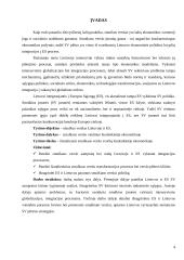 Smulkaus verslo vaidmuo šiuolaikinėje ekonomikoje 4 puslapis