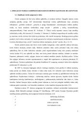 Smulkaus verslo vaidmuo šiuolaikinėje ekonomikoje 5 puslapis