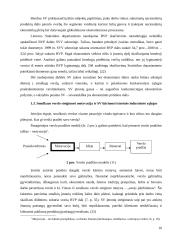 Smulkaus verslo vaidmuo šiuolaikinėje ekonomikoje 10 puslapis