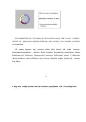 Smulkaus ir vidutinio verslo vystymąsi Lietuvoje 11 puslapis