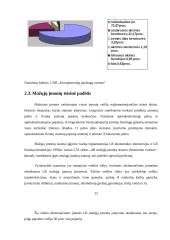 Smulkaus ir vidutinio verslo vystymąsi Lietuvoje 12 puslapis