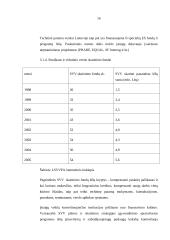 Smulkaus ir vidutinio verslo vystymąsi Lietuvoje 17 puslapis