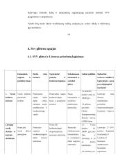 Smulkaus ir vidutinio verslo vystymąsi Lietuvoje 19 puslapis