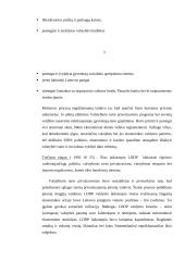 Smulkaus ir vidutinio verslo vystymąsi Lietuvoje 3 puslapis