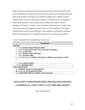 Socialinė atsakomybė ir jos pritaikymas Lietuvoje 14 puslapis