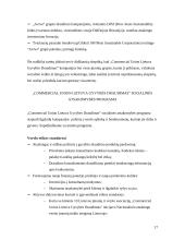 Socialinė atsakomybė ir jos pritaikymas Lietuvoje 17 puslapis