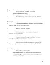 Socialinė atsakomybė ir jos pritaikymas Lietuvoje 19 puslapis