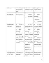 Socialinė atsakomybė ir jos pritaikymas Lietuvoje 3 puslapis