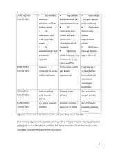 Socialinė atsakomybė ir jos pritaikymas Lietuvoje 4 puslapis