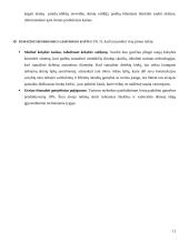 Strategijos valdymo metodai: optikos verslas UAB "Litoptik" 10 puslapis