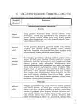 Strategijos valdymo metodai: optikos verslas UAB "Litoptik" 11 puslapis