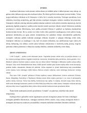 Strategijos valdymo metodai: optikos verslas UAB "Litoptik" 2 puslapis