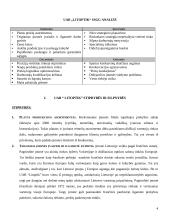 Strategijos valdymo metodai: optikos verslas UAB "Litoptik" 3 puslapis