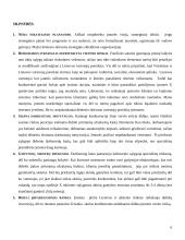 Strategijos valdymo metodai: optikos verslas UAB "Litoptik" 5 puslapis