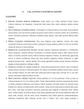 Strategijos valdymo metodai: optikos verslas UAB "Litoptik" 6 puslapis