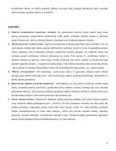 Strategijos valdymo metodai: optikos verslas UAB "Litoptik" 7 puslapis