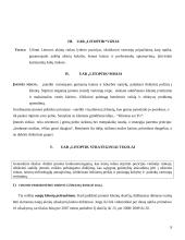 Strategijos valdymo metodai: optikos verslas UAB "Litoptik" 8 puslapis