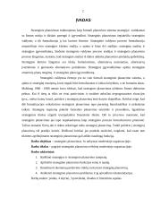 Strategijos ir strateginis planavimas 2 puslapis