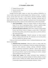 Strategijos ir strateginis planavimas 11 puslapis