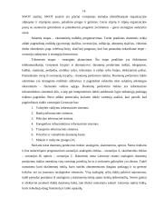 Strategijos ir strateginis planavimas 14 puslapis