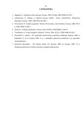 Strategijos ir strateginis planavimas 20 puslapis