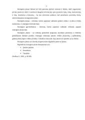 Strategijos ir strateginis planavimas 5 puslapis