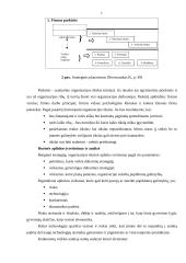 Strategijos ir strateginis planavimas 7 puslapis