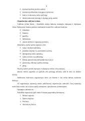 Strategijos ir strateginis planavimas 8 puslapis