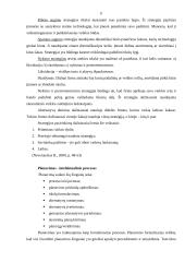 Strategijos ir strateginis planavimas 9 puslapis