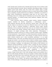 Studentų sportinės adaptacijos ypatumai 14 puslapis