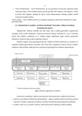 Sveikos gyvensenos klubo "Sveikatos akademija" įkūrimas 12 puslapis