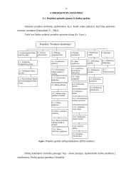 Sveikos gyvensenos klubo "Sveikatos akademija" įkūrimas 15 puslapis