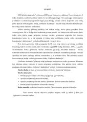 Sveikos gyvensenos klubo "Sveikatos akademija" įkūrimas 7 puslapis