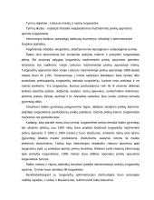 Šešėlinė ekonomika Lietuvoje ir pasaulyje 13 puslapis