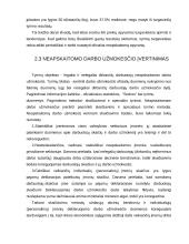 Šešėlinė ekonomika Lietuvoje ir pasaulyje 19 puslapis