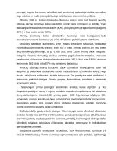 Šešėlinė ekonomika Lietuvoje ir pasaulyje 20 puslapis