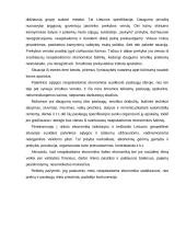 Šešėlinė ekonomika Lietuvoje ir pasaulyje 4 puslapis