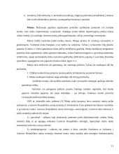 Tarptautinė prekyba ir jos privalumai 13 puslapis