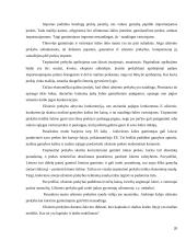 Tarptautinė prekyba ir jos privalumai 20 puslapis