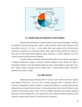 Tarptautinis euro vaidmuo šalių ekonomikose 14 puslapis